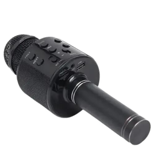 Mic With Children's Speaker